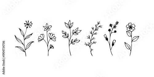 A collection of seven different types of flowers drawn in black and white Vector