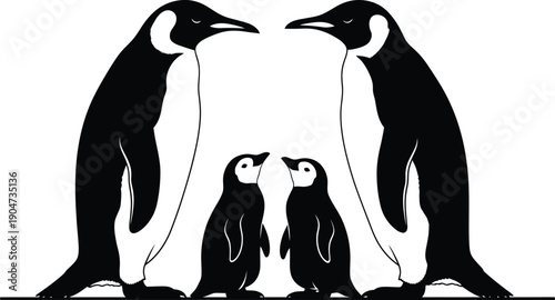 Silhouette of two adult penguins shielding two chicks