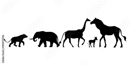 Evolution of animals from prehistoric times to modern day Vector