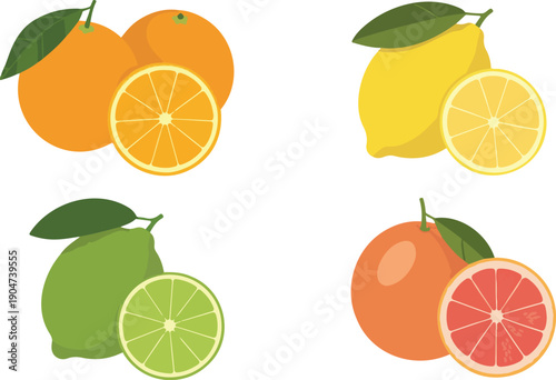 Citrus Fruits Set with Orange Lemon Lime Grapefruit Slices Vector Illustration