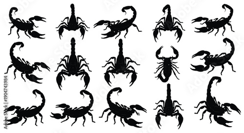 Multiple scorpion shapes arranged in a grid stark black silhouette