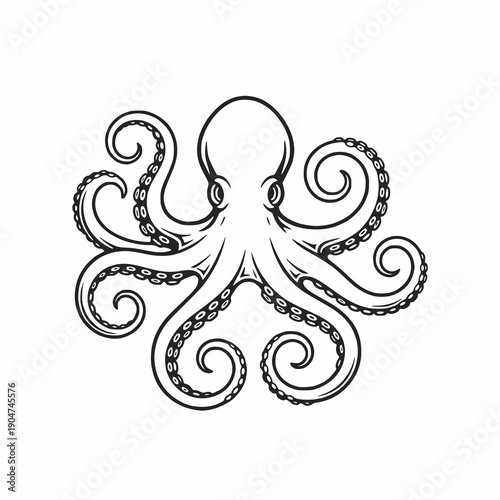 Vintage style octopus vector illustration with curled tentacles isolated on white background