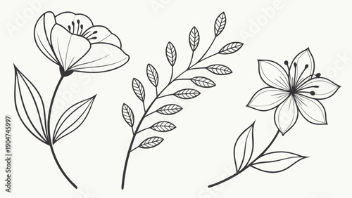 Set of hand drawn botanical illustrations featuring delicate flowers and leafy stems in line art style.