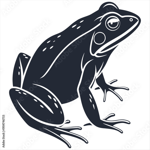  Frog amphibian wildlife reptile