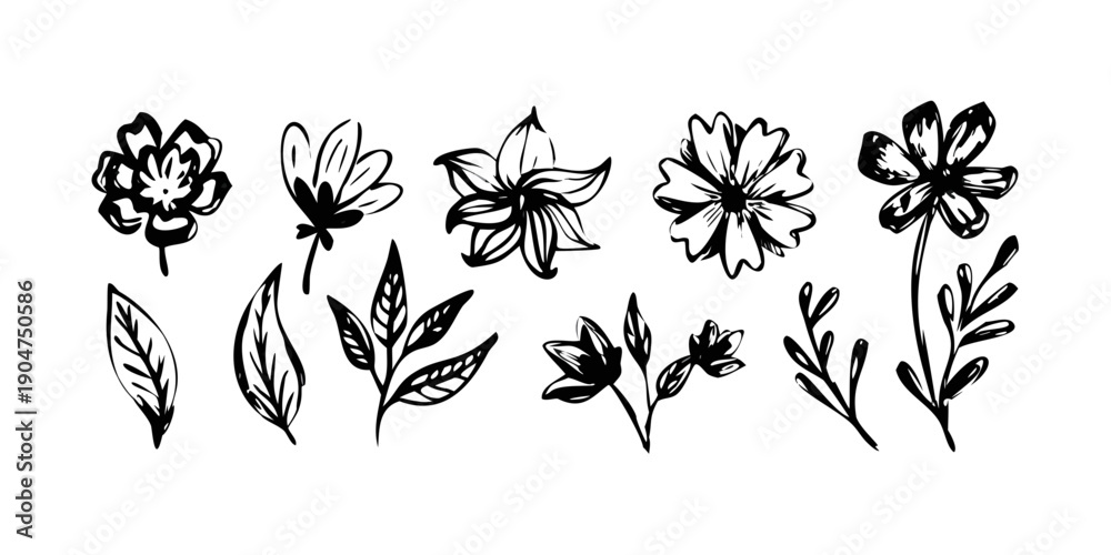 Obraz premium A delicate collection of various flowers and plants, each unique in shape and form. Vector