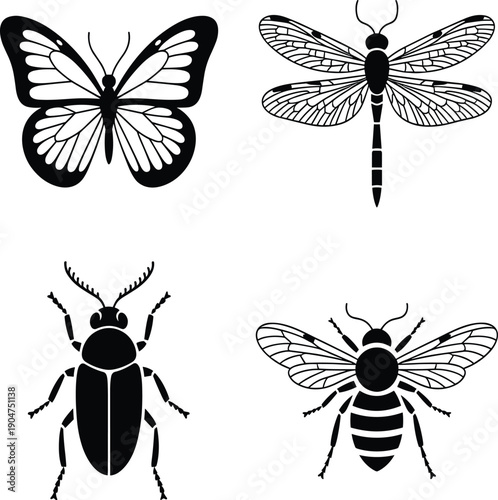 Four black and white insect including butterfly bee and beetle