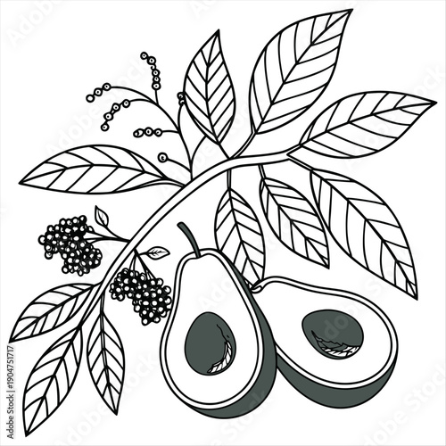 Avocado smoothie fruit drink plant silhouette vector on a white background