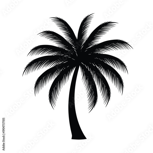 Hand Drawn Style Palm Tree Vector. Artistic Illustration for Bohemian Decor, Craft Projects, and Indie Businesses.