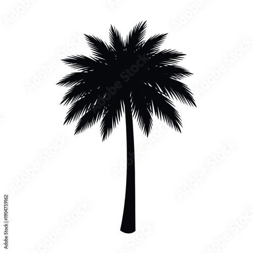 Playful Hand-Drawn Style Palm Tree Vector for Creative Summer Event Invitations