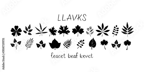 Slika na platnu An assortment of various leaf designs and patterns in a black and white color scheme