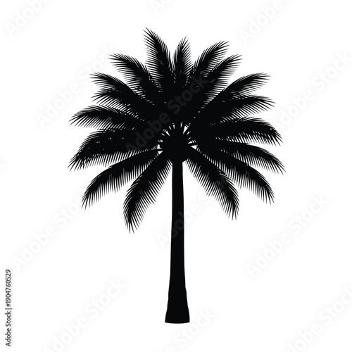 Artistic palm tree vector, unique style for creative posters, album covers, and artistic merchandise.