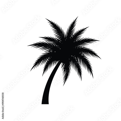 Palm tree outline vector, simple and clear for educational purposes, nature guides, and infographic elements.