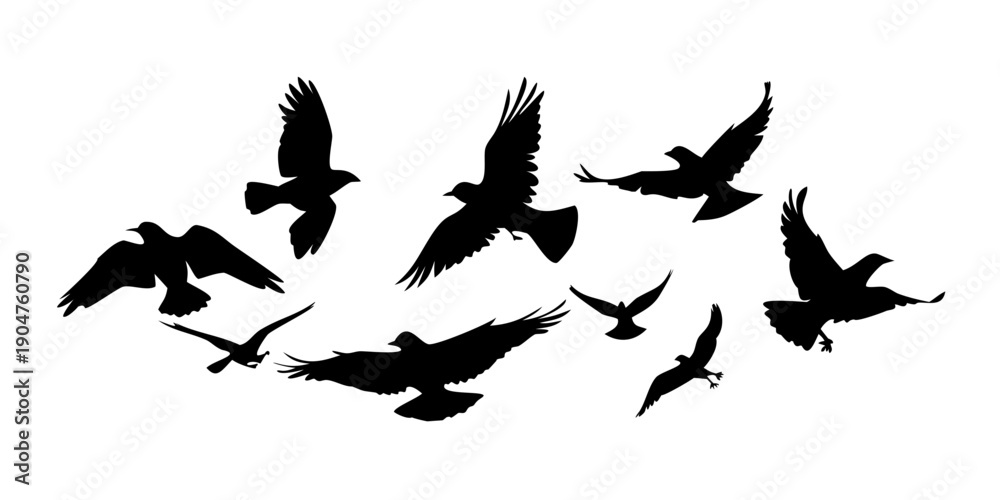 Obraz premium A flock of birds in flight against a white background Vector