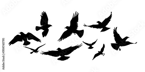 Bild auf Leinwand A flock of birds in flight against a white background Vector