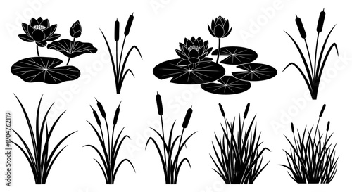 Collection of black silhouettes of water plants and flowers in a serene pond environment from a top viewpoint