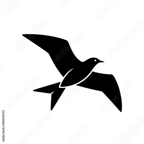 vector illustration of a flying bird