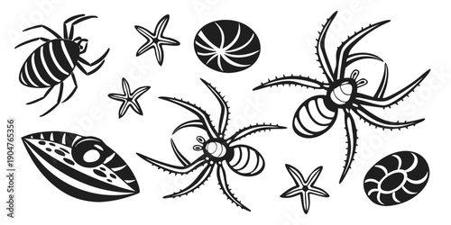A detailed illustration of various spider species and their egg sacs. Vector