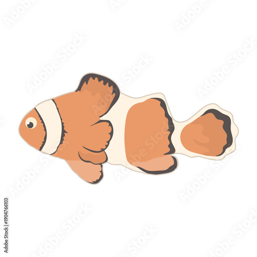 Clownfish 