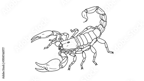 A minimalist vector illustration of a scorpion in a defensive stance