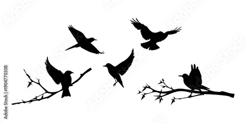 Four birds flying over a branch with a perched bird Vector