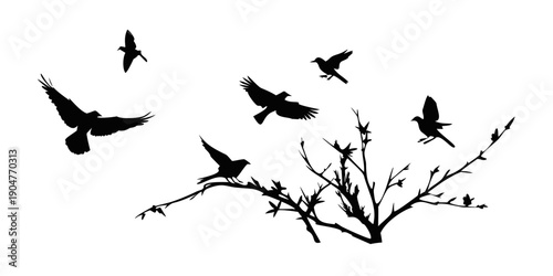 Silhouettes of birds perched and flying against a bare tree branch Vector