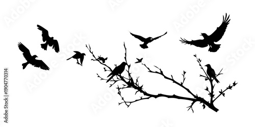 A flock of birds perched on a bare tree branch with others flying in the sky. Vector