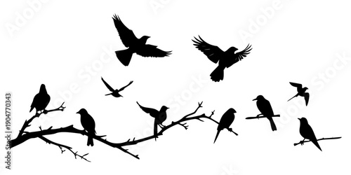 Silhouettes of birds perched and flying against a white background Vector
