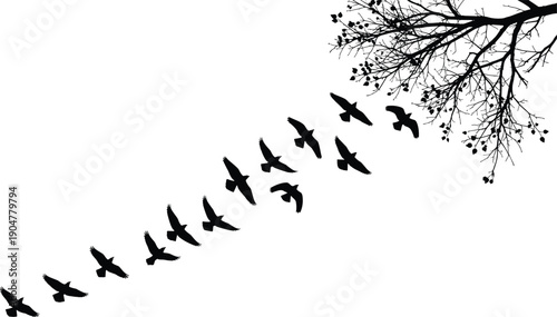 Black Silhouette Vector Illustration of a Flock of Birds Flying Away From a Tree Branch for Nature Wildlife Freedom and Migration Designs