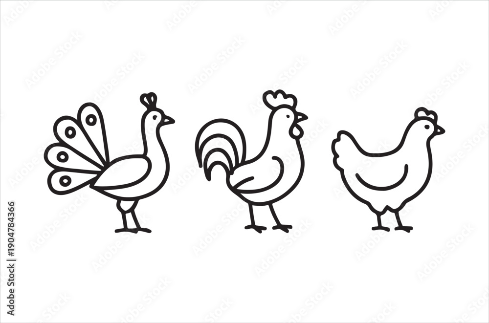 Obraz premium Simple black and white line drawing of a peacock rooster and two hens