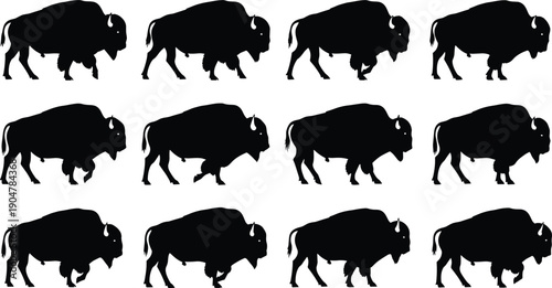 American bison silhouettes collection showing walking buffalo poses isolated on white background for wildlife illustration and vector design use
