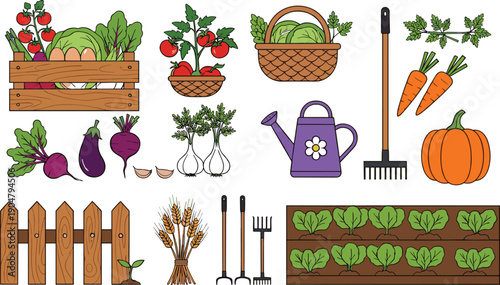 Vegetable Garden Illustration Set with Fresh Harvest Plants Gardening Tools Watering Can Fence and Farm Produce for Organic Agriculture Designs