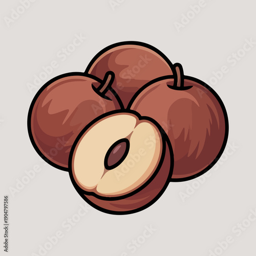 Mabolo Fruit Vector Illustration of Tropical Velvet Apple Whole and Half with Seed