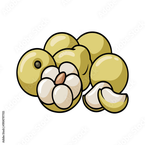 Lanzones Fruit Vector Illustration of Tropical Longkong Cluster Whole and Peeled