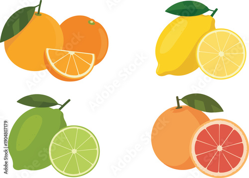 set of citrus fruits