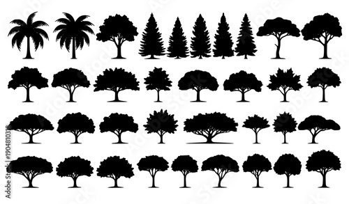 Big set of black tree silhouettes from different natural zones isolated on white background