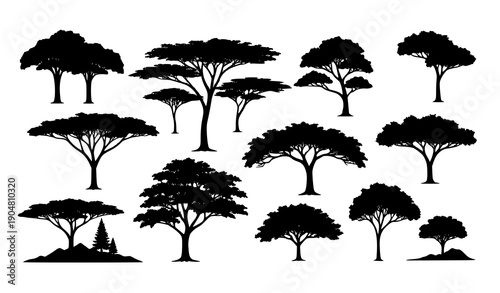 Diverse tree silhouette vector set representing tropical temperate and alpine zones