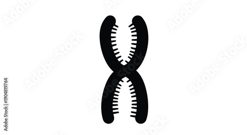 Black and white illustration of a lobster claw symmetrical design on white background
