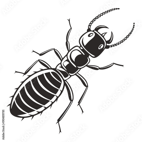 ant vector illustration