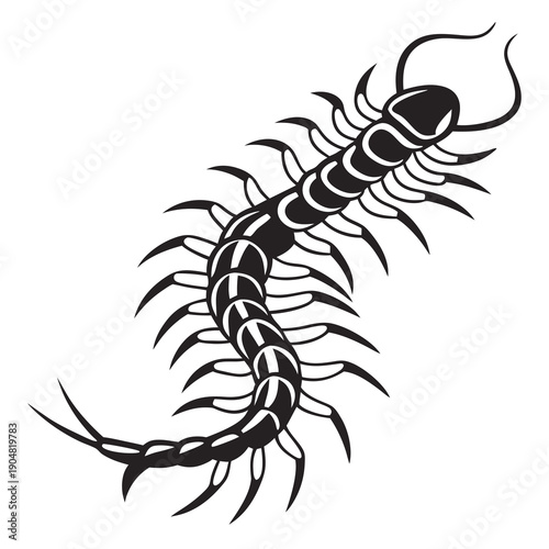 vector illustration of a silhouette of a scorpion