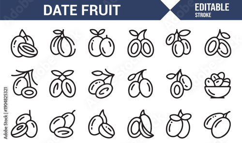 Dried Date Palm Fruit Line Icons Collection