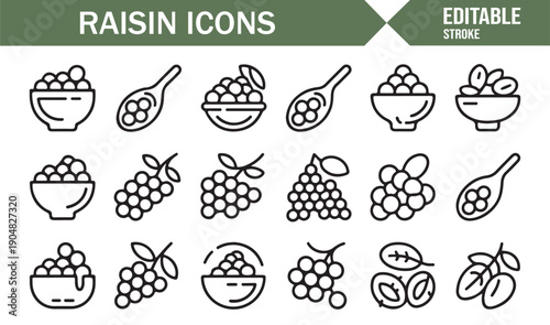 Dried Fruit Raisin Minimal Line Illustration Set