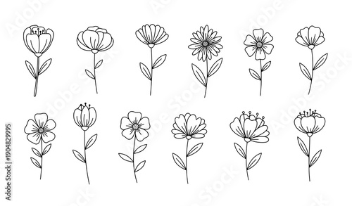 Single Flower Doodle Line Art Vector Set Minimal Hand Drawn Floral Illustrations
