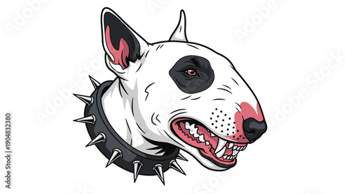 Aggressive bull terrier dog head with a bared teeth snarl and wearing a black leather collar with long metal spikes on white.