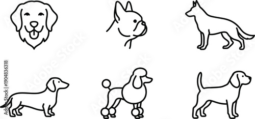 Set of six simple line art illustrations depicting various dog breeds and their unique characteristics isolated on a transparent background