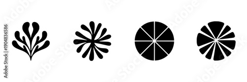Flower and pie chart set with abstract and geometric designs in black and white featuring design, illustration, vector with modern and minimalist elements for graphic, style projects, clean
