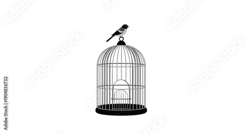Black and white bird perching on an empty domed birdcage, symbolizing freedom and peace against a clean white studio