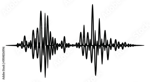 A stark black and white waveform graphic displays complex sound vibrations resembling an audio signal s visual representation high quality professional