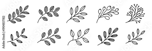 Branches hand drawn set with intricate leaf patterns and various styles for design use featuring leaves, nature, botanical with illustration and art elements for vector, black and white projects,