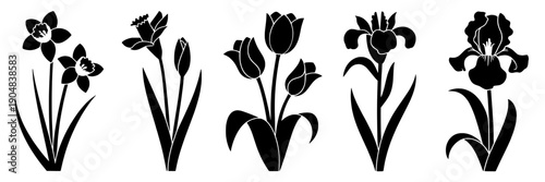 Flowers silhouette icon set with five spring garden blossoms including tulip, iris and daffodil in black vector style, isolated on white for logos, decals and crafts