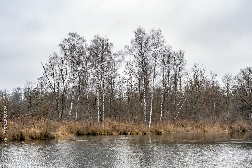 Fototapeta premium Naturseen Nersingen